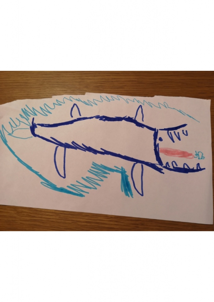 baleine dessin